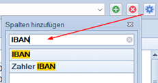 IBAN Feld suchen