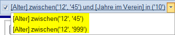 Mitglieder / Mitgliederliste - Auglistung getätigter Filtereinstellungen