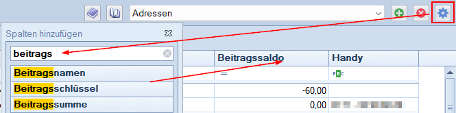 FAQ - Beitragssaldo Mitgliederliste einbinden FAQ - Beitragssaldo Mitgliederliste einbinden